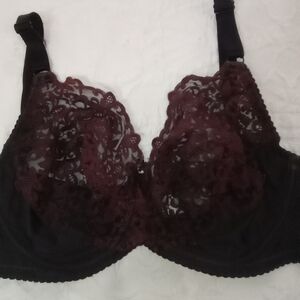WACOAL Black Lace Bra Semi-Sheer Sexy Lingerie Underwire Women's 34DD